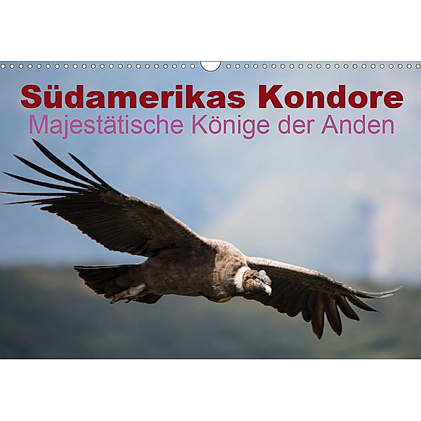 Südamerikas Kondore - Majestätische Könige der Anden (Wandkalender 2020 DIN A3 quer), Alexander Bob