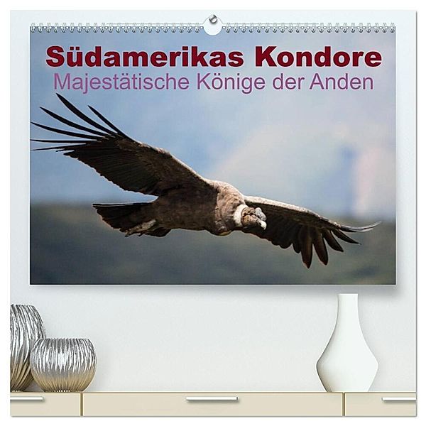 Südamerikas Kondore - Majestätische Könige der Anden (hochwertiger Premium Wandkalender 2024 DIN A2 quer), Kunstdruck in Hochglanz, Alexander Bob