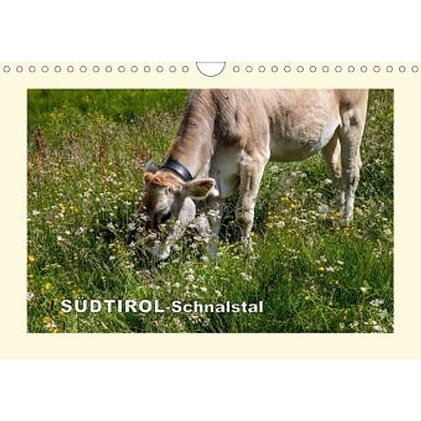 SÜDTIROL-Schnalstal (Wandkalender 2020 DIN A4 quer), Richard Walliser