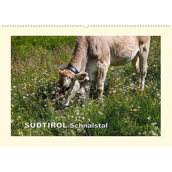 SÜDTIROL-Schnalstal (Wandkalender 2023 DIN A2 quer), Richard Walliser