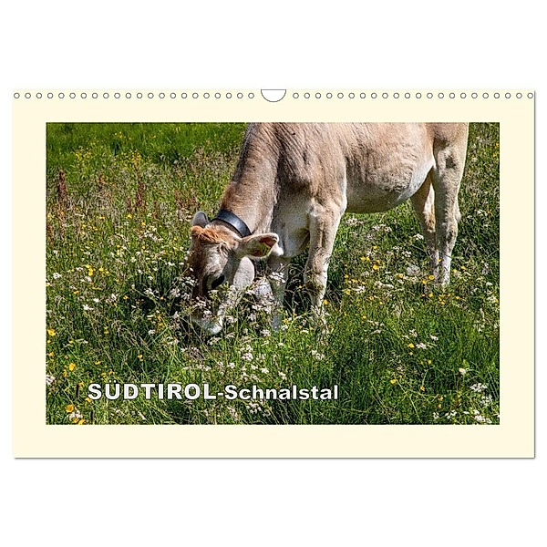 SÜDTIROL-Schnalstal (Wandkalender 2024 DIN A3 quer), CALVENDO Monatskalender, Richard Walliser