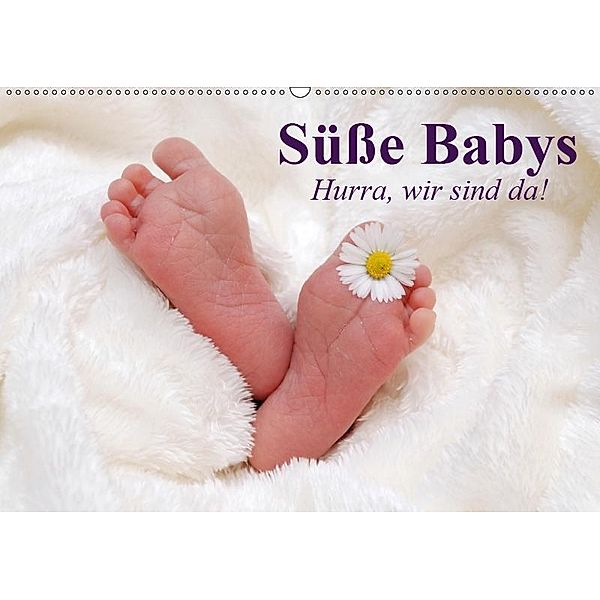 Süße Babys. Hurra, wir sind da! (Wandkalender 2019 DIN A2 quer), Elisabeth Stanzer