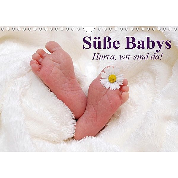 Süße Babys. Hurra, wir sind da! (Wandkalender 2020 DIN A4 quer), Elisabeth Stanzer