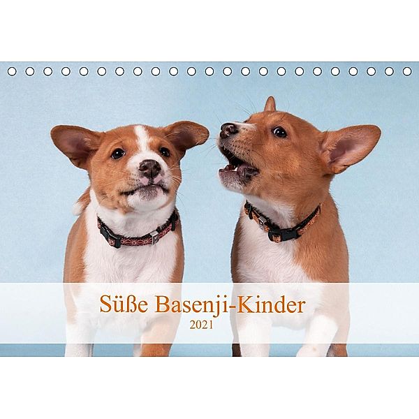 Süße Basenji-Kinder (Tischkalender 2021 DIN A5 quer), Angelika Joswig