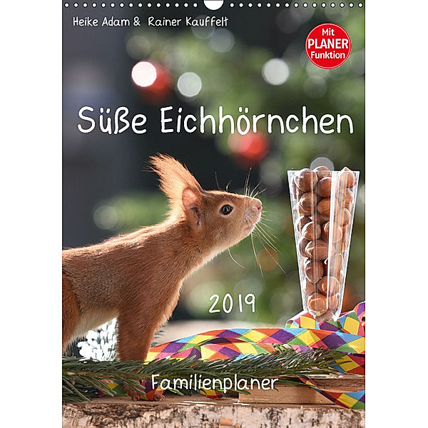 Süße Eichhörnchen (Wandkalender 2019 DIN A3 hoch), Heike Adam