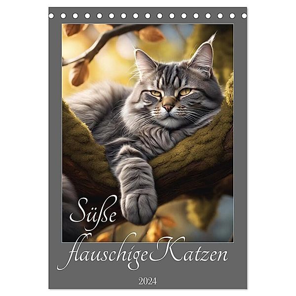 Süße flauschige Katzen (Tischkalender 2024 DIN A5 hoch), CALVENDO Monatskalender, Calvendo, Babette Whitter