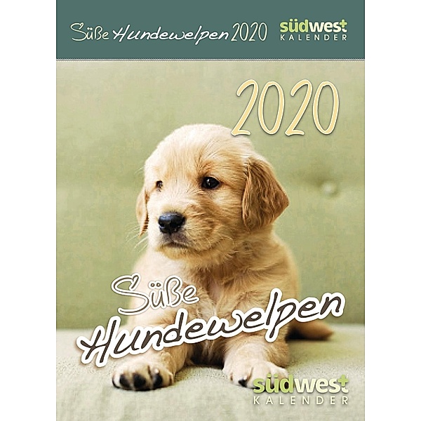 Süße Hundewelpen 2020 Tagesabreißkalender