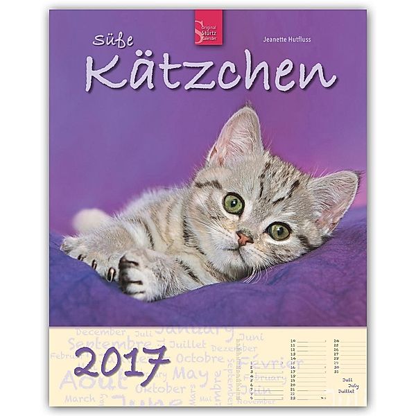 Süße Kätzchen 2017