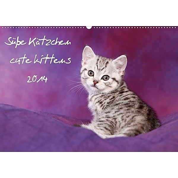 Süße Kätzchen - cute kittens 2014 (Wandkalender 2014 DIN A2 quer), Jeanette Hutfluss