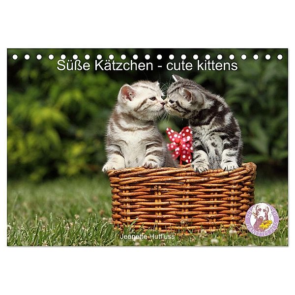 Süße Kätzchen - cute kittens (Tischkalender 2025 DIN A5 quer), CALVENDO Monatskalender, Calvendo, Jeanette Hutfluss