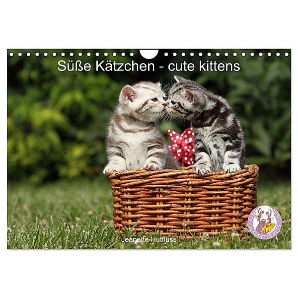 Süße Kätzchen - cute kittens (Wandkalender 2024 DIN A4 quer), CALVENDO Monatskalender, Jeanette Hutfluss