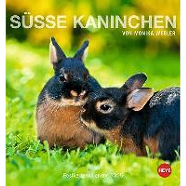 Süße Kaninchen Postkartenkalender 2015, Monika Wegler