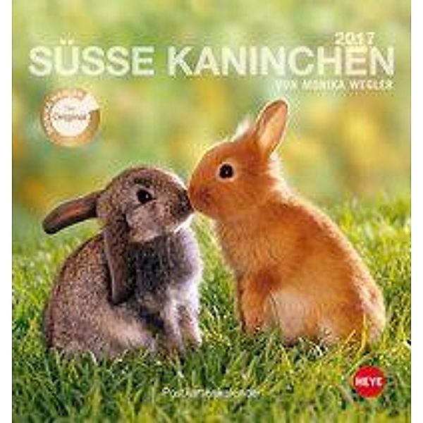 Süsse Kaninchen Postkartenkalender 2017, Monika Wegler