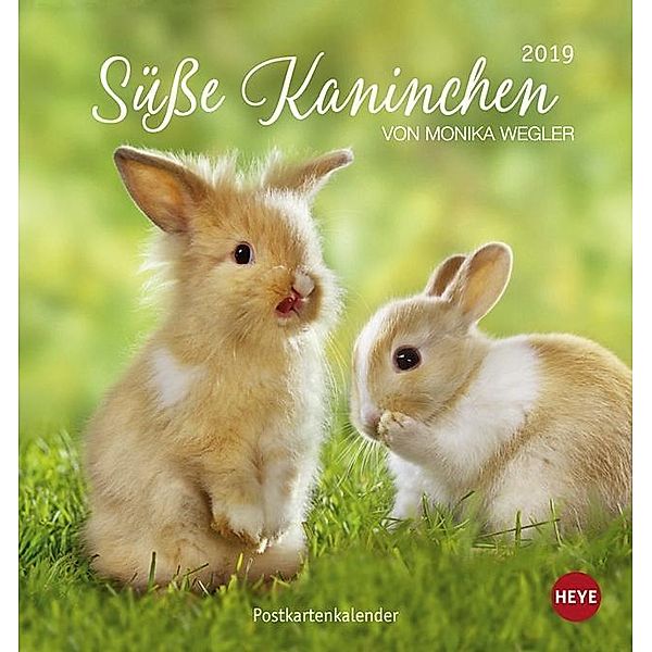 Süsse Kaninchen Postkartenkalender 2019, Monika Wegler