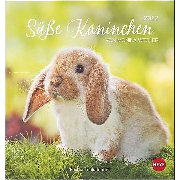 Süsse Kaninchen Postkartenkalender 2022, Monika Wegler