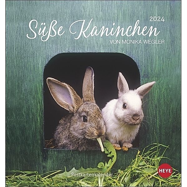 Süße Kaninchen Postkartenkalender 2024. Tierfotografin Monika Wegler setzt in einem kleinen Kalender niedliche Häschen in Szene. Tischkalender im Postkartenformat., Süße Kaninchen Postkartenkalender 2024. Tierfotografin Monika Wegler setzt in einem kleinen Kalender niedliche Häschen i