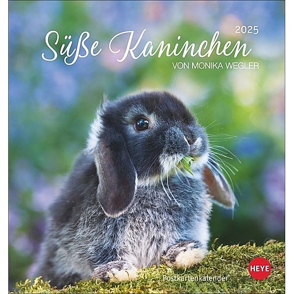 Süsse Kaninchen Postkartenkalender 2025