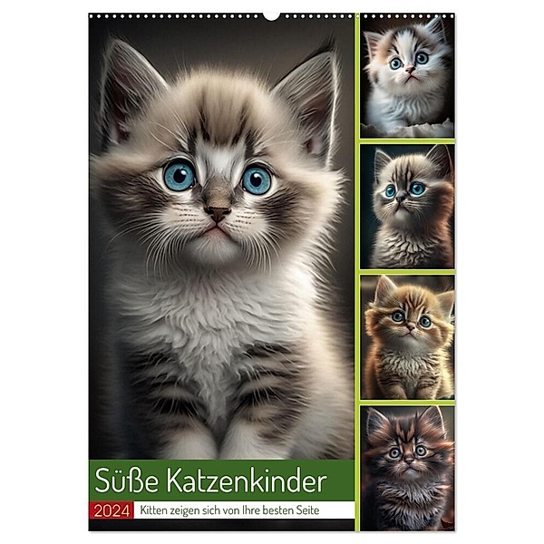 Süße Katzenkinder (Wandkalender 2024 DIN A2 hoch), CALVENDO Monatskalender, Steffen Gierok-Latniak