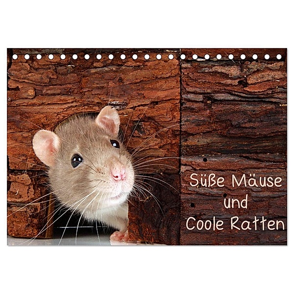 Süße Mäuse und Coole Ratten / CH-Version (Tischkalender 2024 DIN A5 quer), CALVENDO Monatskalender, Klaus Eppele
