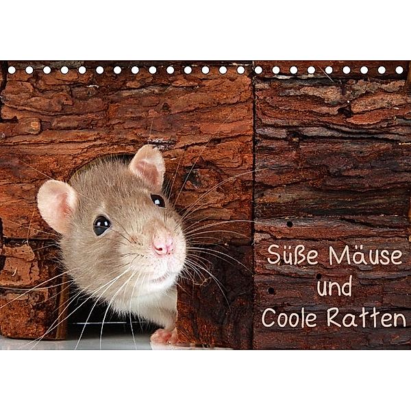 Süße Mäuse und Coole Ratten (Tischkalender 2017 DIN A5 quer), Klaus Eppele