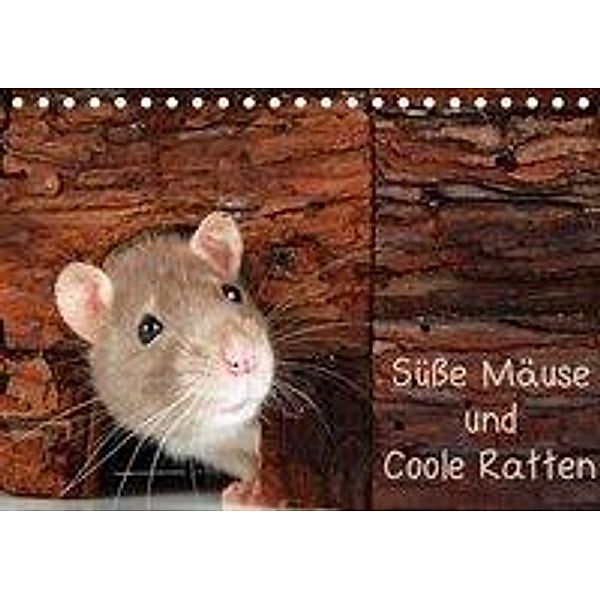 Süße Mäuse und Coole Ratten (Tischkalender 2020 DIN A5 quer), Klaus Eppele