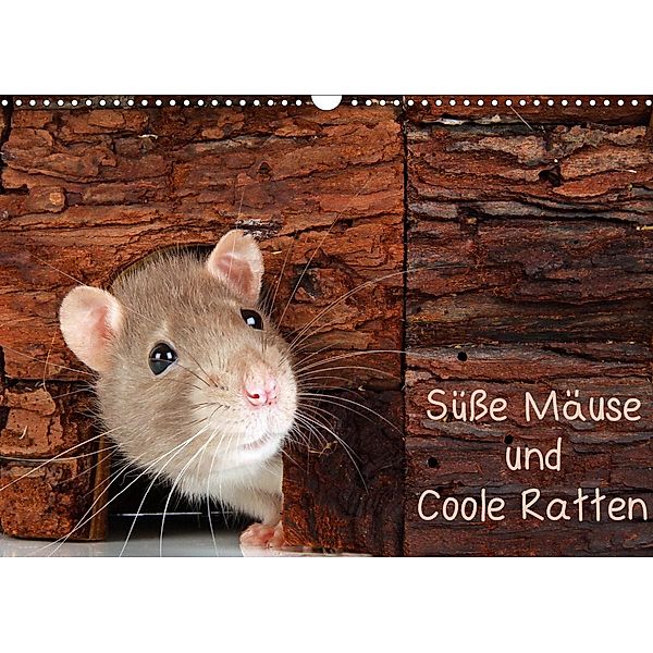 Süße Mäuse und Coole Ratten (Wandkalender 2021 DIN A3 quer), Klaus Eppele