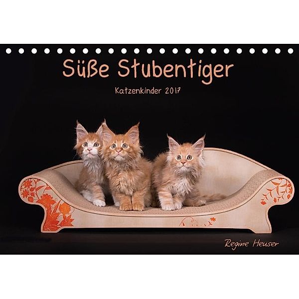 Süße Stubentiger - Katzenkinder (Tischkalender 2017 DIN A5 quer), Regine Heuser