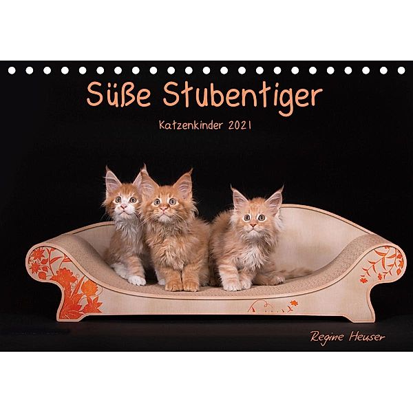 Süße Stubentiger - Katzenkinder (Tischkalender 2021 DIN A5 quer), Regine Heuser