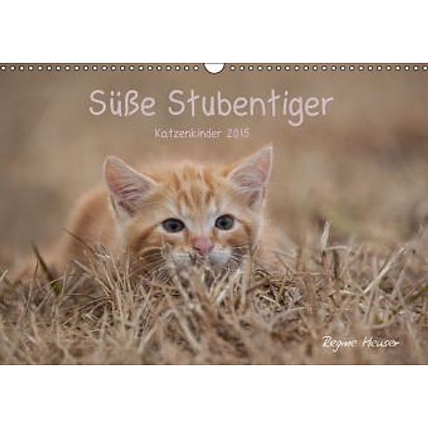 Süße Stubentiger - Katzenkinder (Wandkalender 2015 DIN A3 quer), Regine Heuser