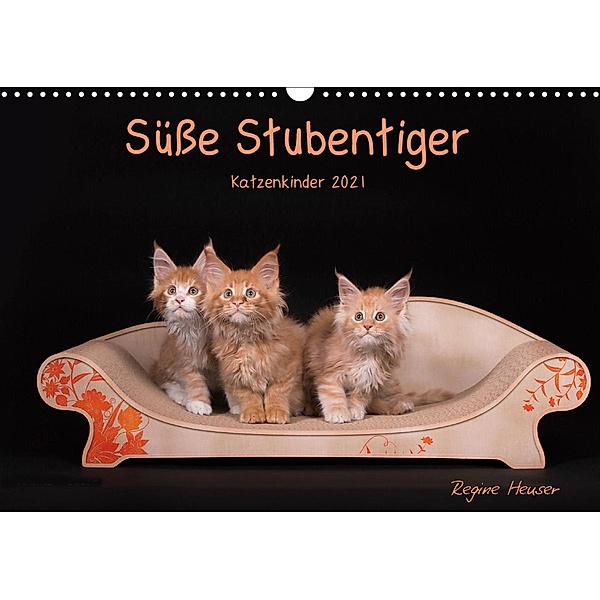 Süsse Stubentiger - Katzenkinder (Wandkalender 2021 DIN A3 quer), Regine Heuser