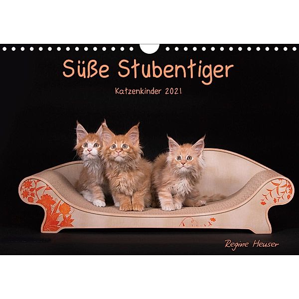 Süsse Stubentiger - Katzenkinder (Wandkalender 2021 DIN A4 quer), Regine Heuser