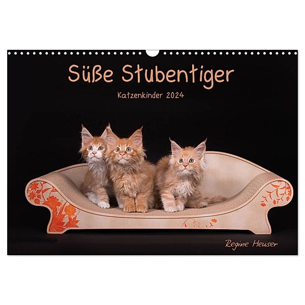 Süsse Stubentiger - Katzenkinder (Wandkalender 2024 DIN A3 quer), CALVENDO Monatskalender, Regine Heuser