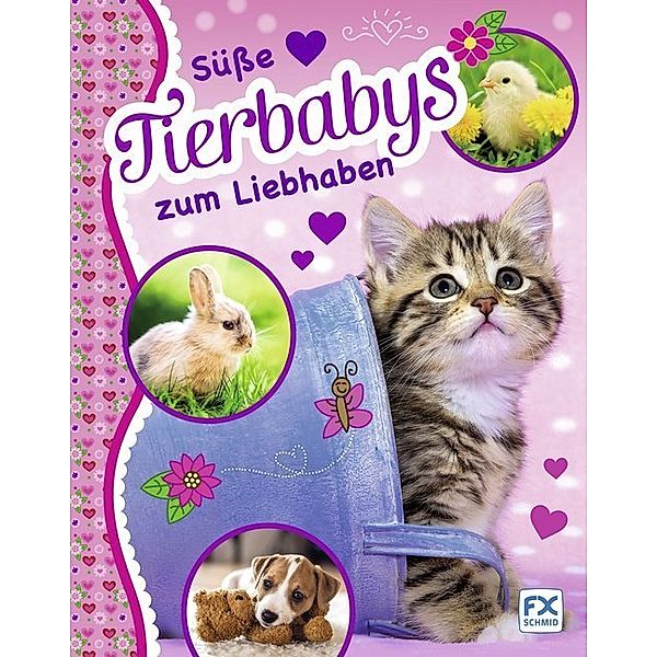 Süße Tierbabys zum Liebhaben