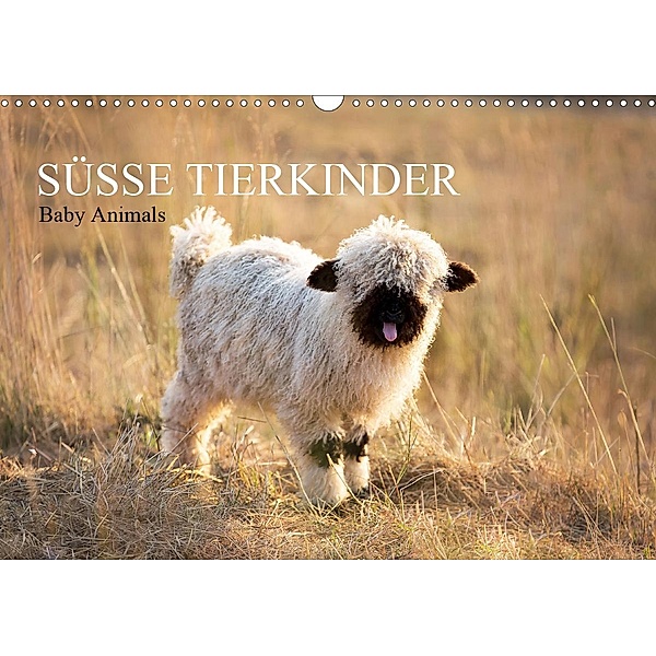 Süsse TierkinderCH-Version (Wandkalender 2020 DIN A3 quer), Daniela Bertschi