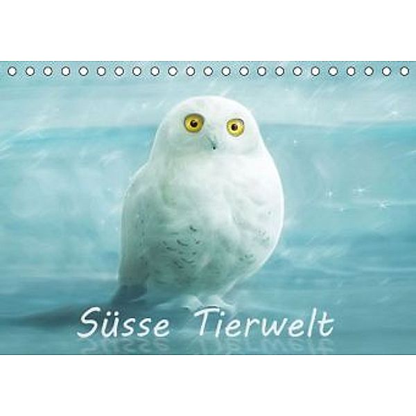 Süsse Tierwelt / AT-Version / Geburtstagskalender (Tischkalender 2016 DIN A5 quer), Silvio Schoisswohl