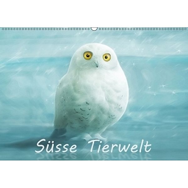 Süsse Tierwelt / AT-Version / Geburtstagskalender (Wandkalender 2017 DIN A2 quer), Silvio Schoisswohl