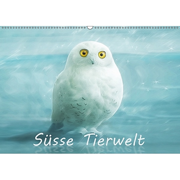 Süsse Tierwelt / AT-Version / Geburtstagskalender (Wandkalender 2018 DIN A2 quer), Silvio Schoisswohl