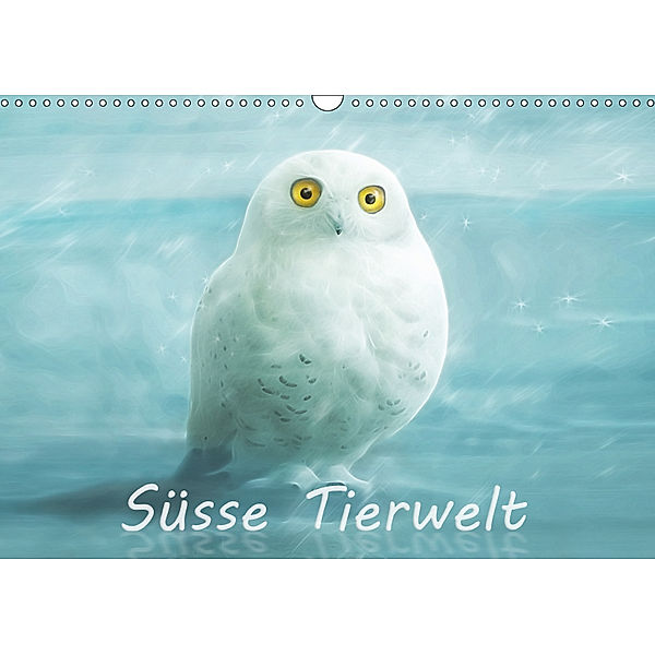 Süsse Tierwelt / CH-Version / Geburtstagskalender (Wandkalender 2019 DIN A3 quer), Silvio Schoisswohl