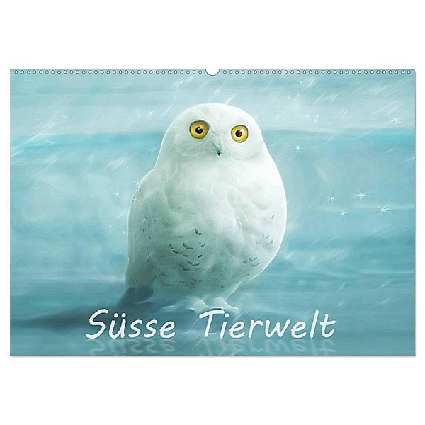 Süsse Tierwelt / CH-Version / Geburtstagskalender (Wandkalender 2024 DIN A2 quer), CALVENDO Monatskalender, Silvio Schoisswohl