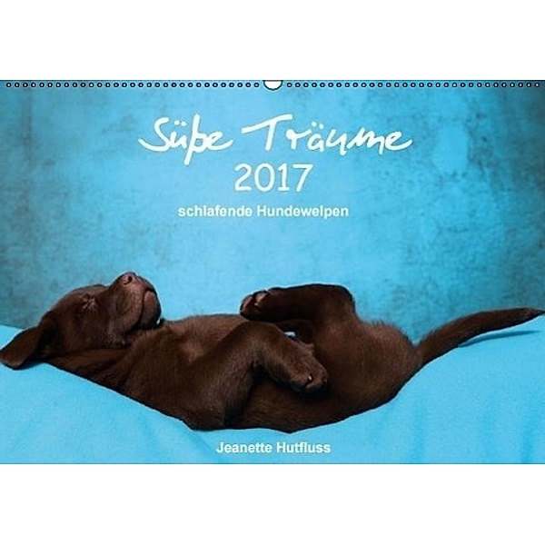 Süße Träume 2017 - schlafende Hundewelpen (Wandkalender 2017 DIN A2 quer), Jeanette Hutfluss