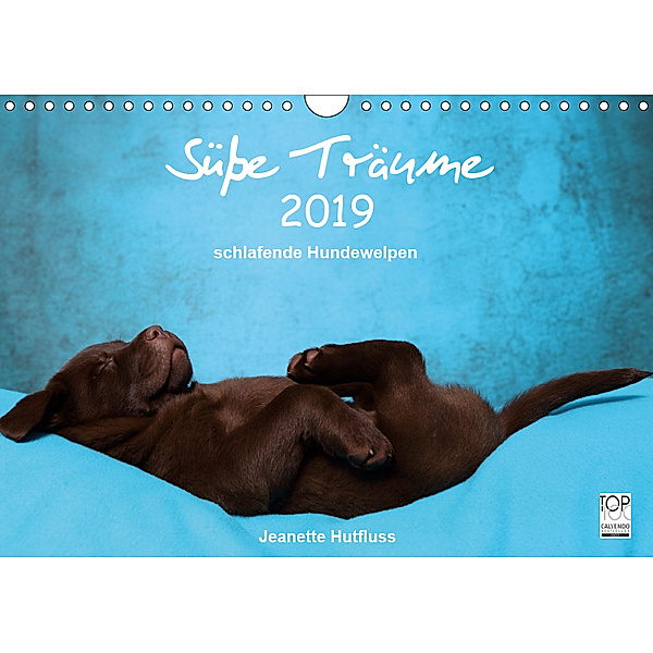 Süsse Träume 2019 - schlafende Hundewelpen (Wandkalender 2019 DIN A4 quer), Jeanette Hutfluss