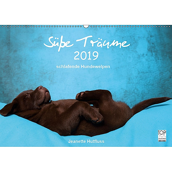 Süsse Träume 2019 - schlafende Hundewelpen (Wandkalender 2019 DIN A2 quer), Jeanette Hutfluss