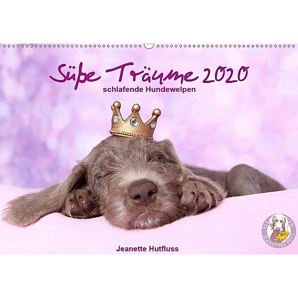Süße Träume 2020 - schlafende Hundewelpen (Wandkalender 2020 DIN A2 quer), Jeanette Hutfluss