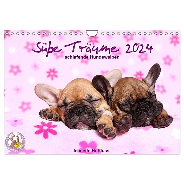 Süsse Träume 2024 - schlafende Hundewelpen (Wandkalender 2024 DIN A4 quer), CALVENDO Monatskalender, Jeanette Hutfluss