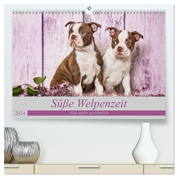 Süße Welpenzeit - Alles außer gewöhnlich (hochwertiger Premium Wandkalender 2024 DIN A2 quer), Kunstdruck in Hochglanz, Nicola Kassat