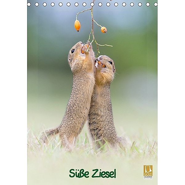 Süße Ziesel (Tischkalender 2018 DIN A5 hoch), Perdita Petzl