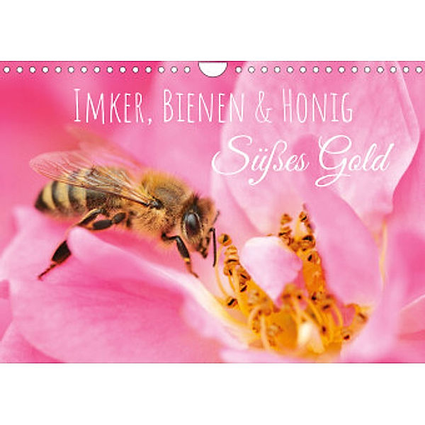 Süßes Gold: Imker, Bienen & Honig (Wandkalender 2022 DIN A4 quer), Calvendo