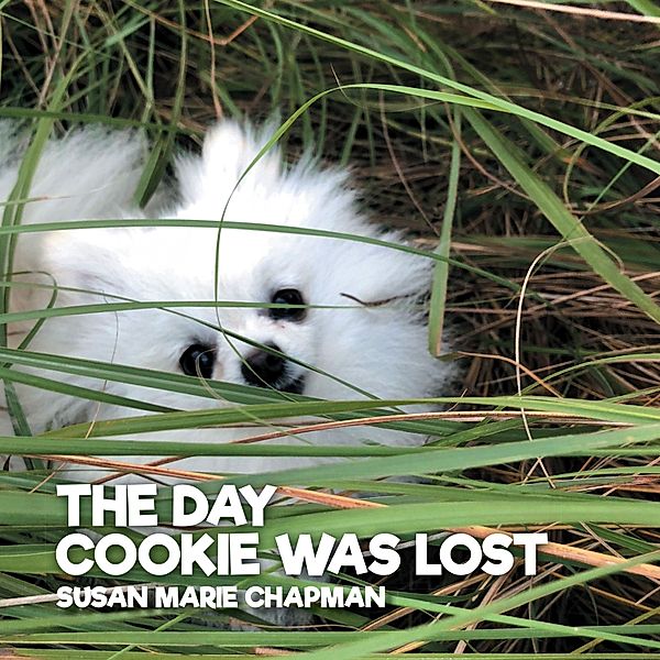 Sugar and Cookie Books - 2 - The Day Cookie Was Lost, Susan Marie Chapman