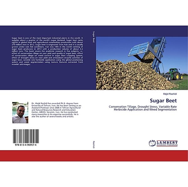 Sugar Beet, Majid Rashidi