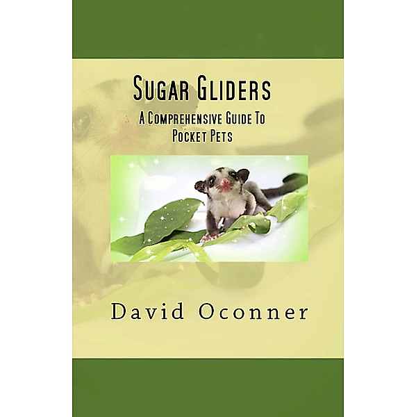 Sugar Gliders, David Oconner